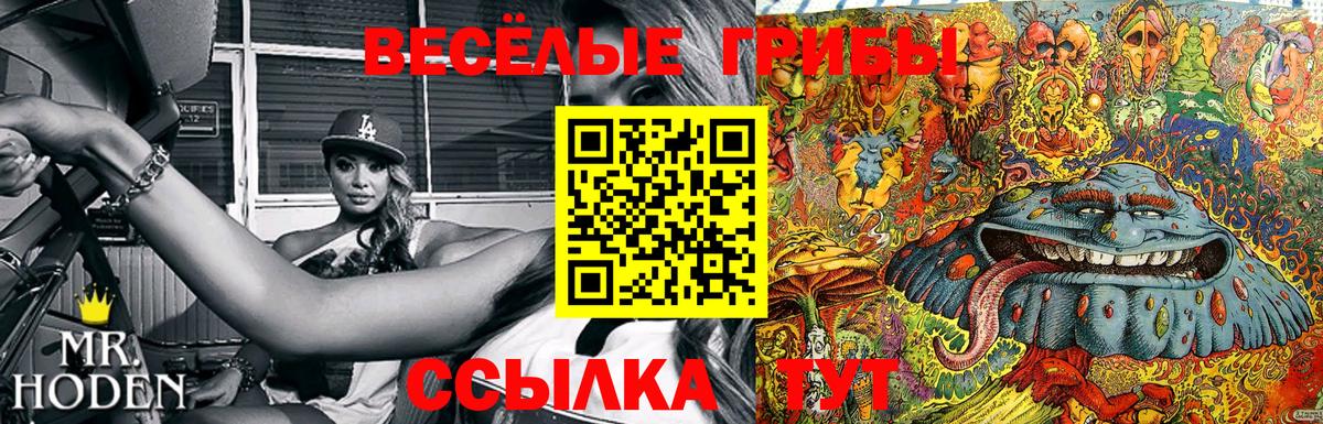 Псилоцибиновые грибы Magic Shrooms Павлово